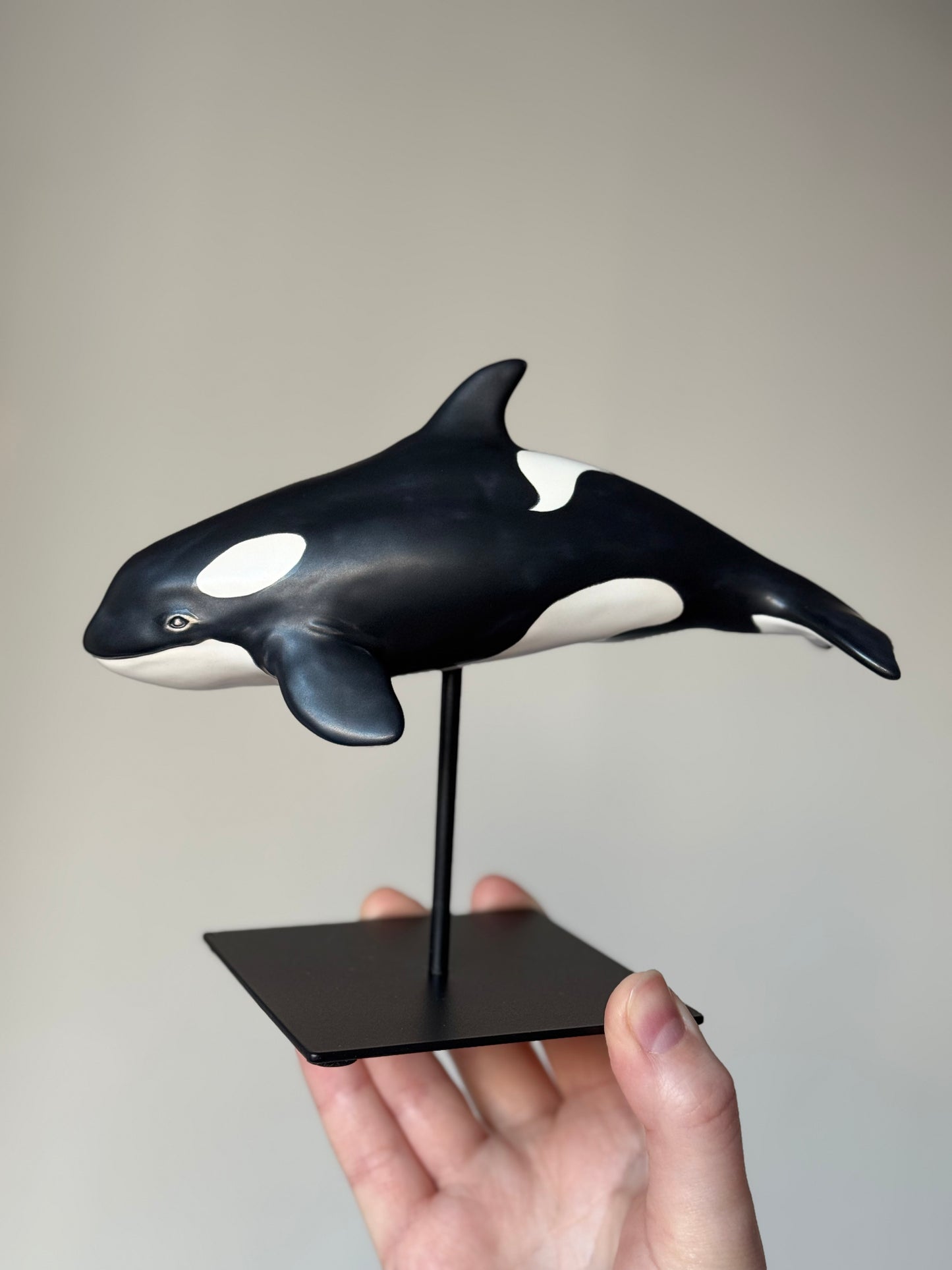 Baby Orca