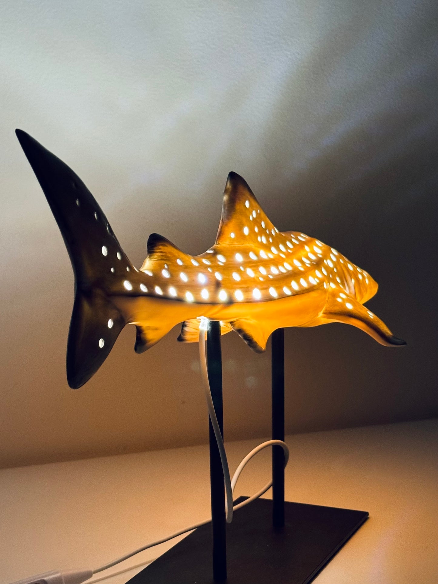 Shark Lamp