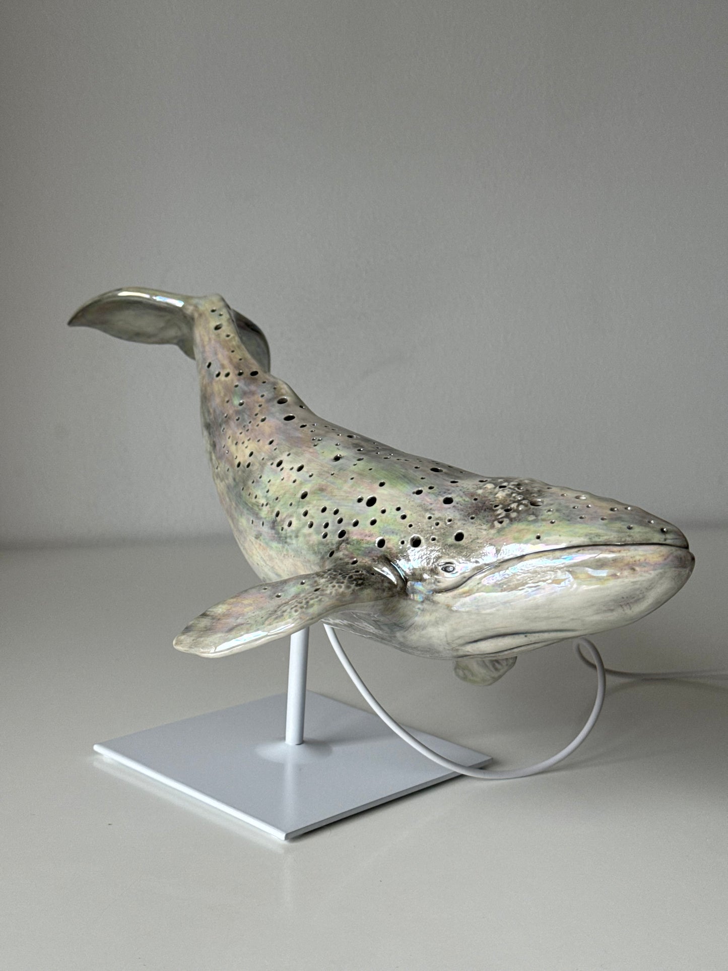 Gray whale lamp
