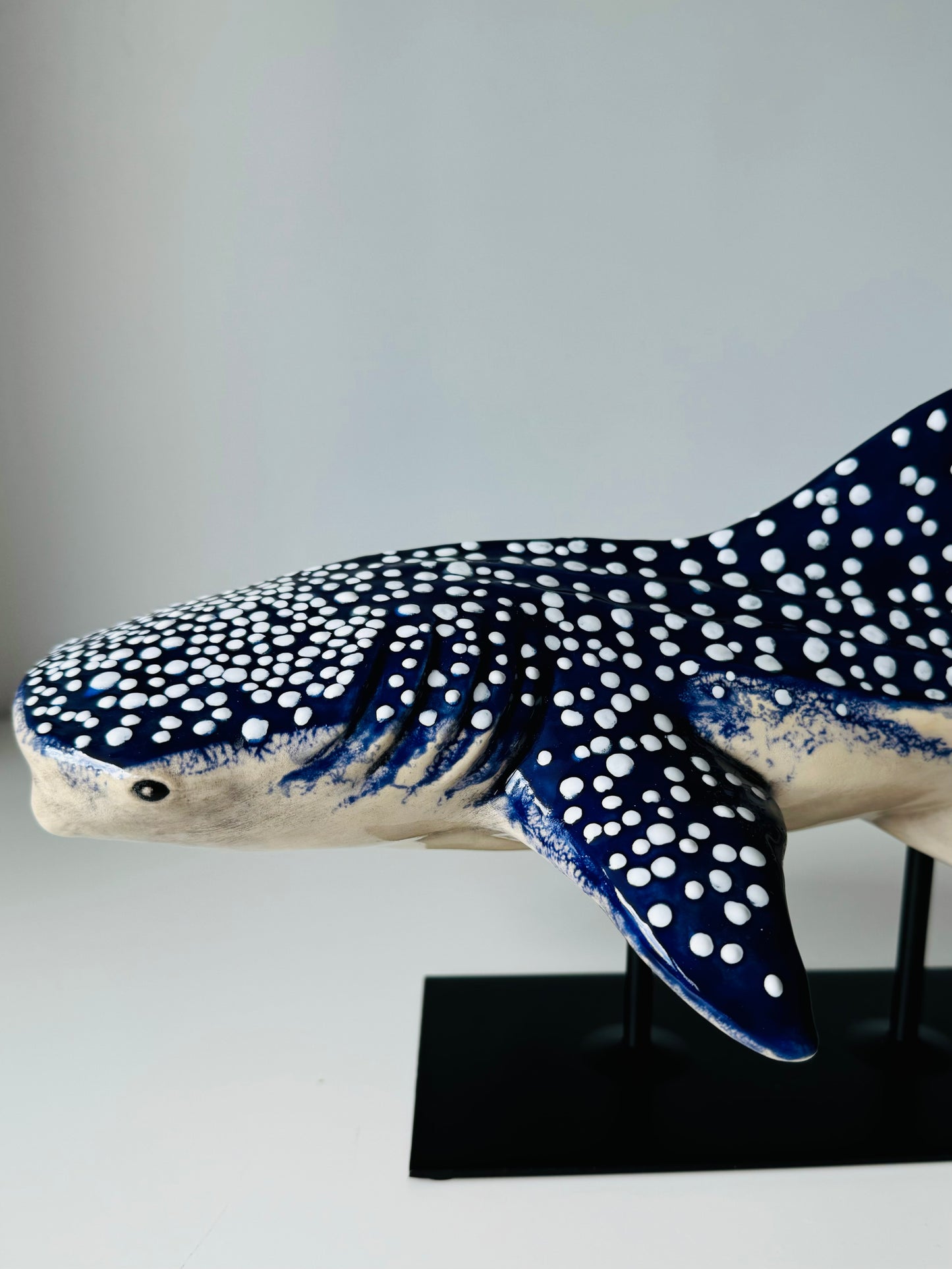 Whale Shark on a metal stand