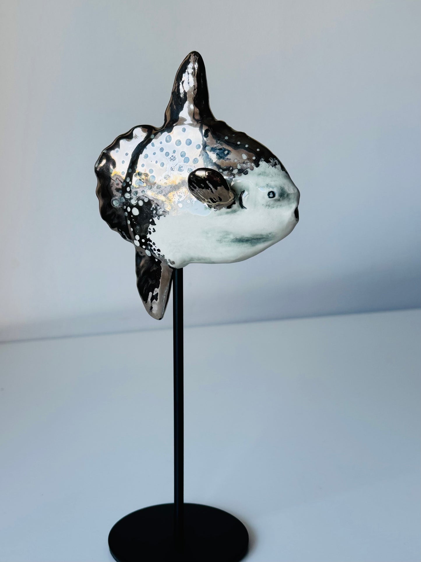 Mola Mola