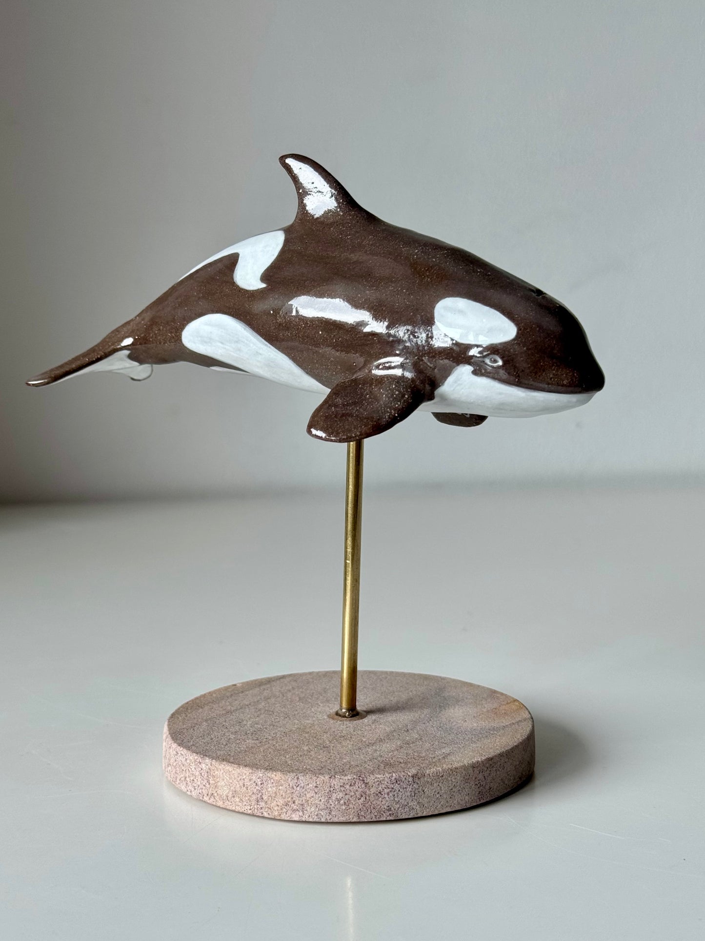 Baby Orca