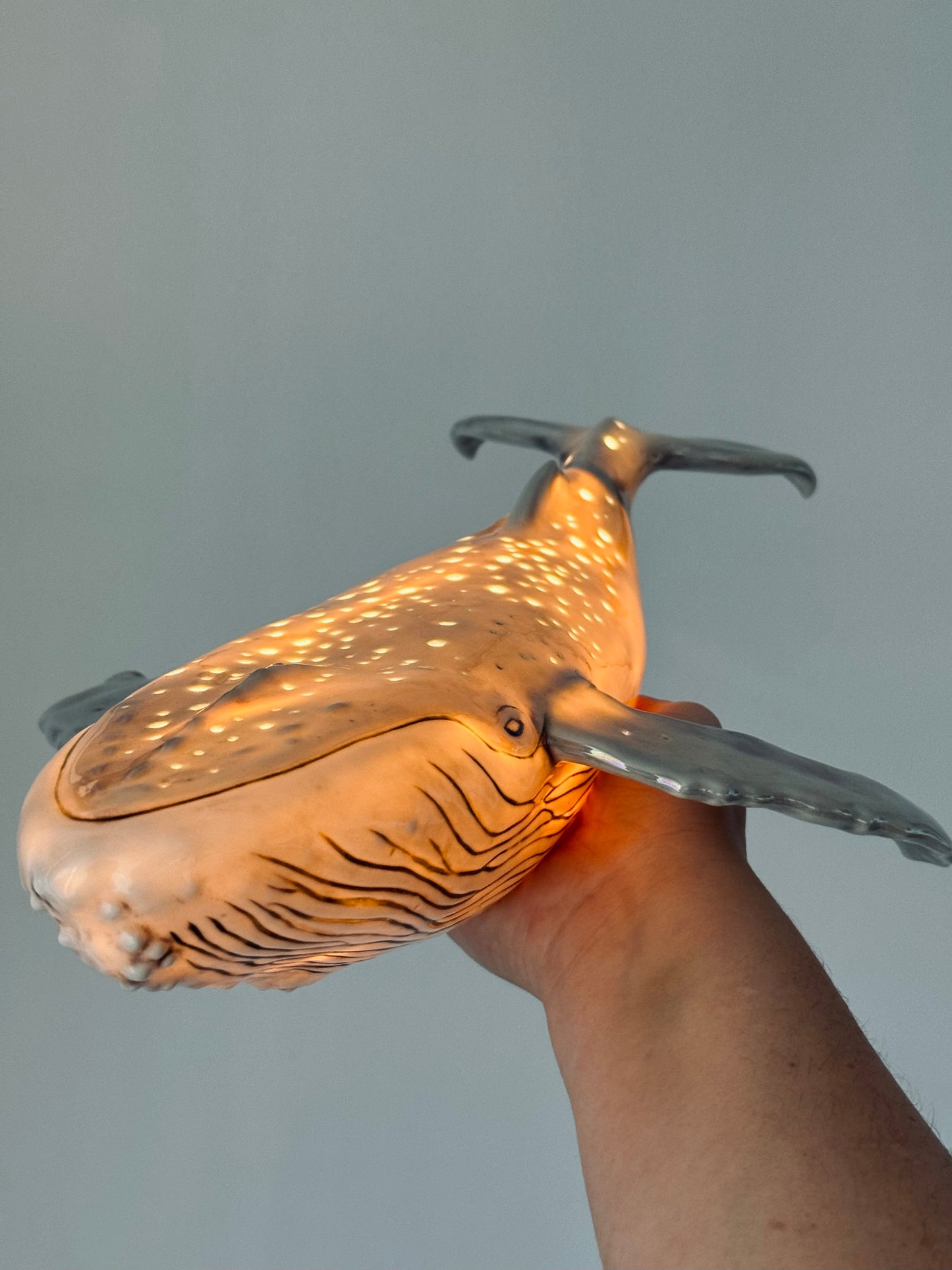 Porcelain Whale Lamp