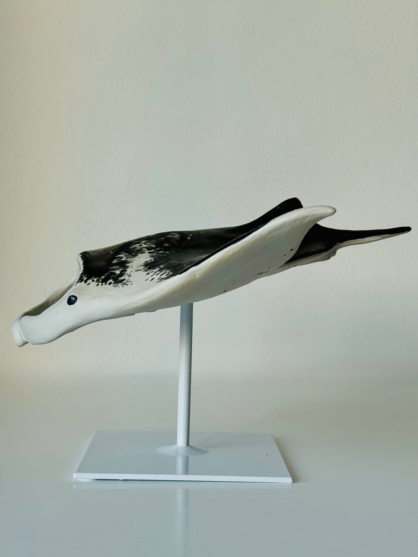Big Manta Ray