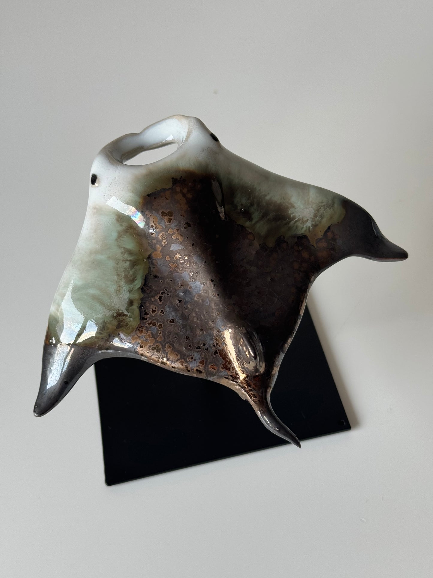 Manta Ray on a stand