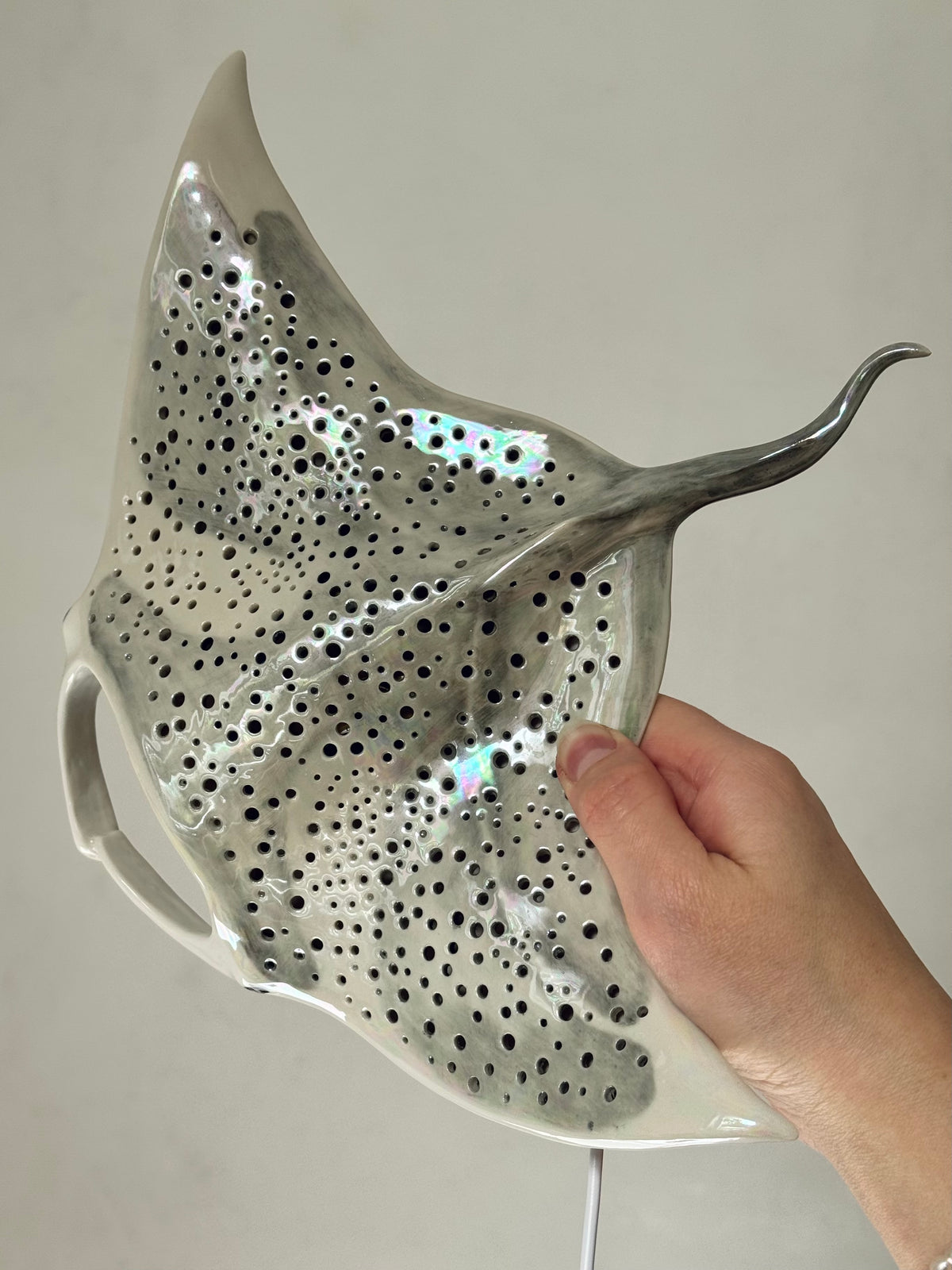 Big Manta Ray
