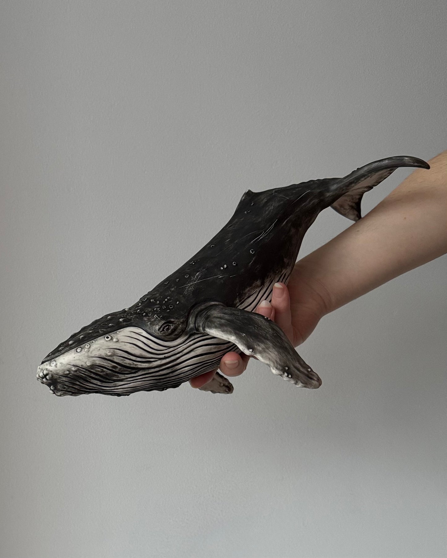 Big Humpback Whale