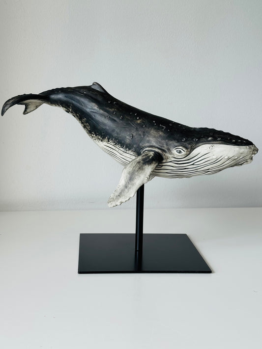 Big Humpback Whale