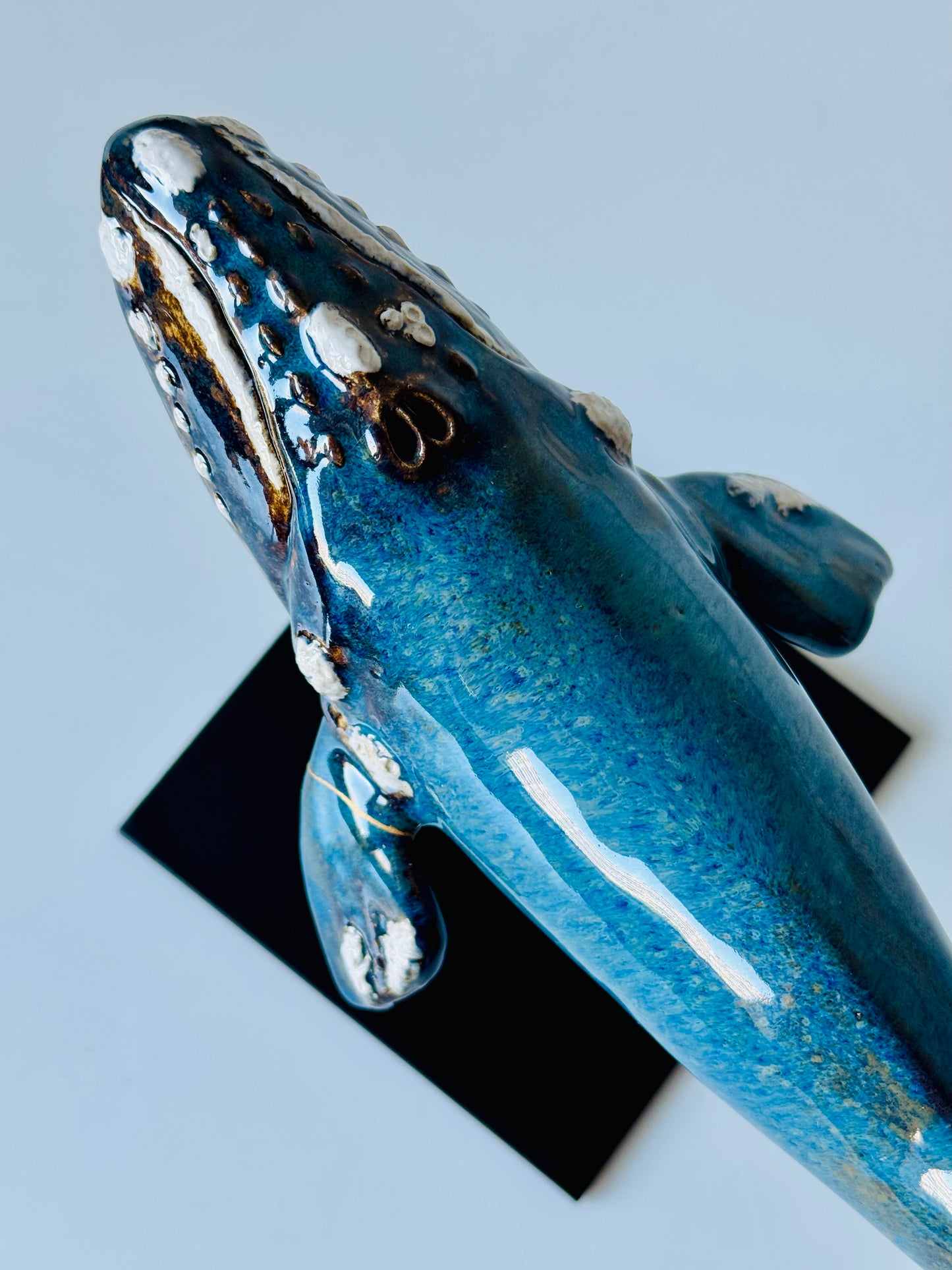 Right Whale (Kintsugi)