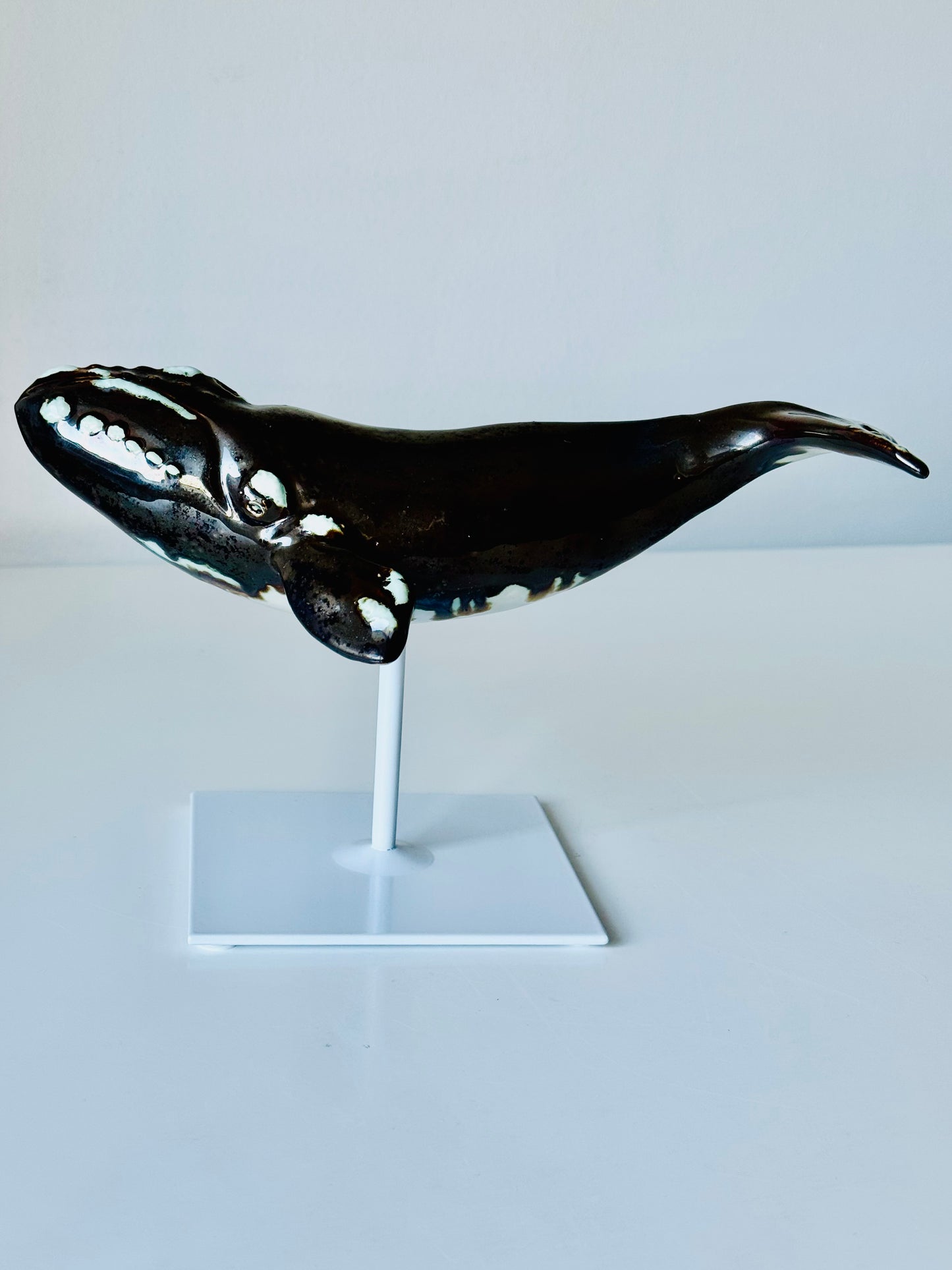 Right Whale
