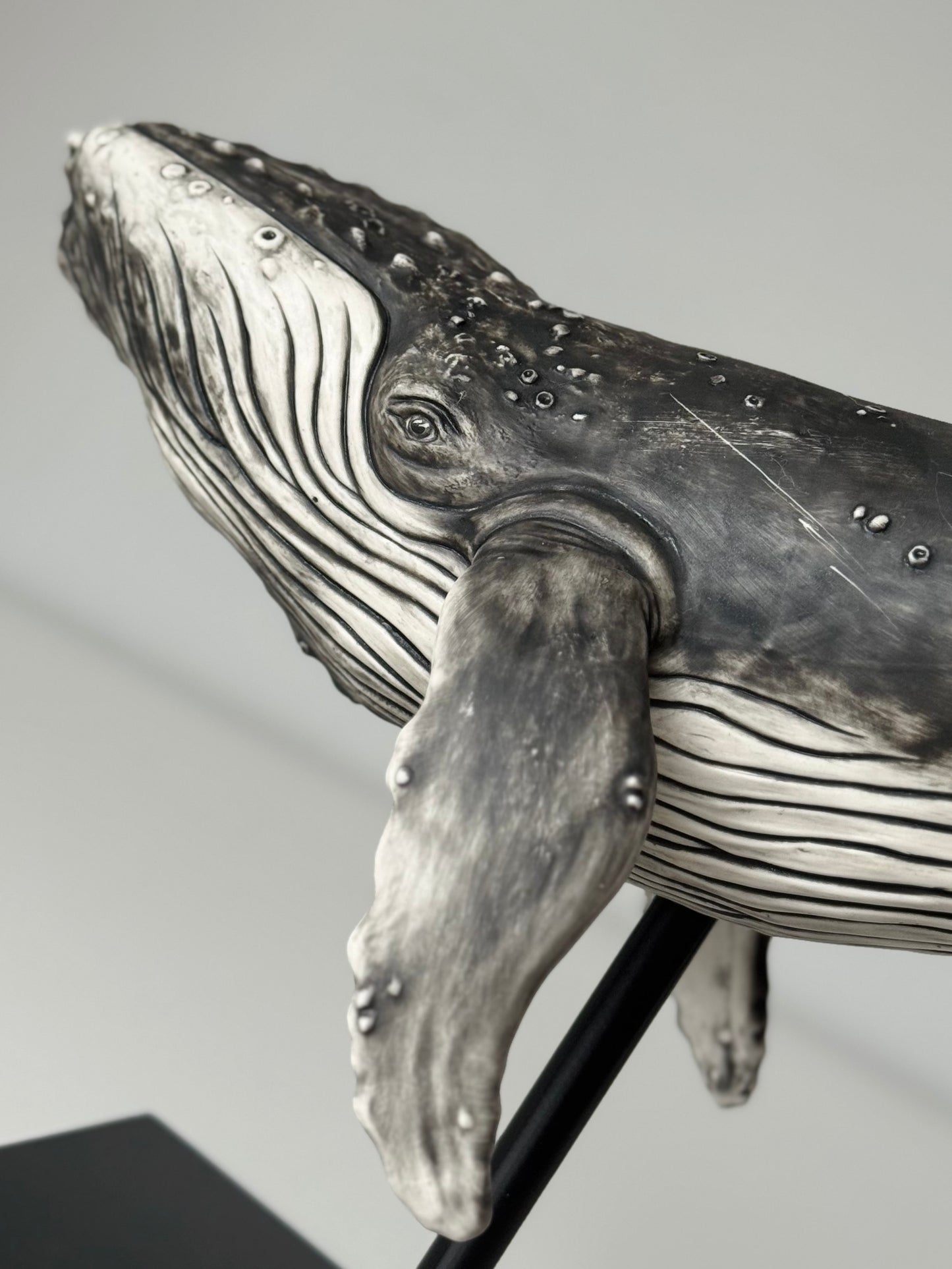 Big Humpback Whale