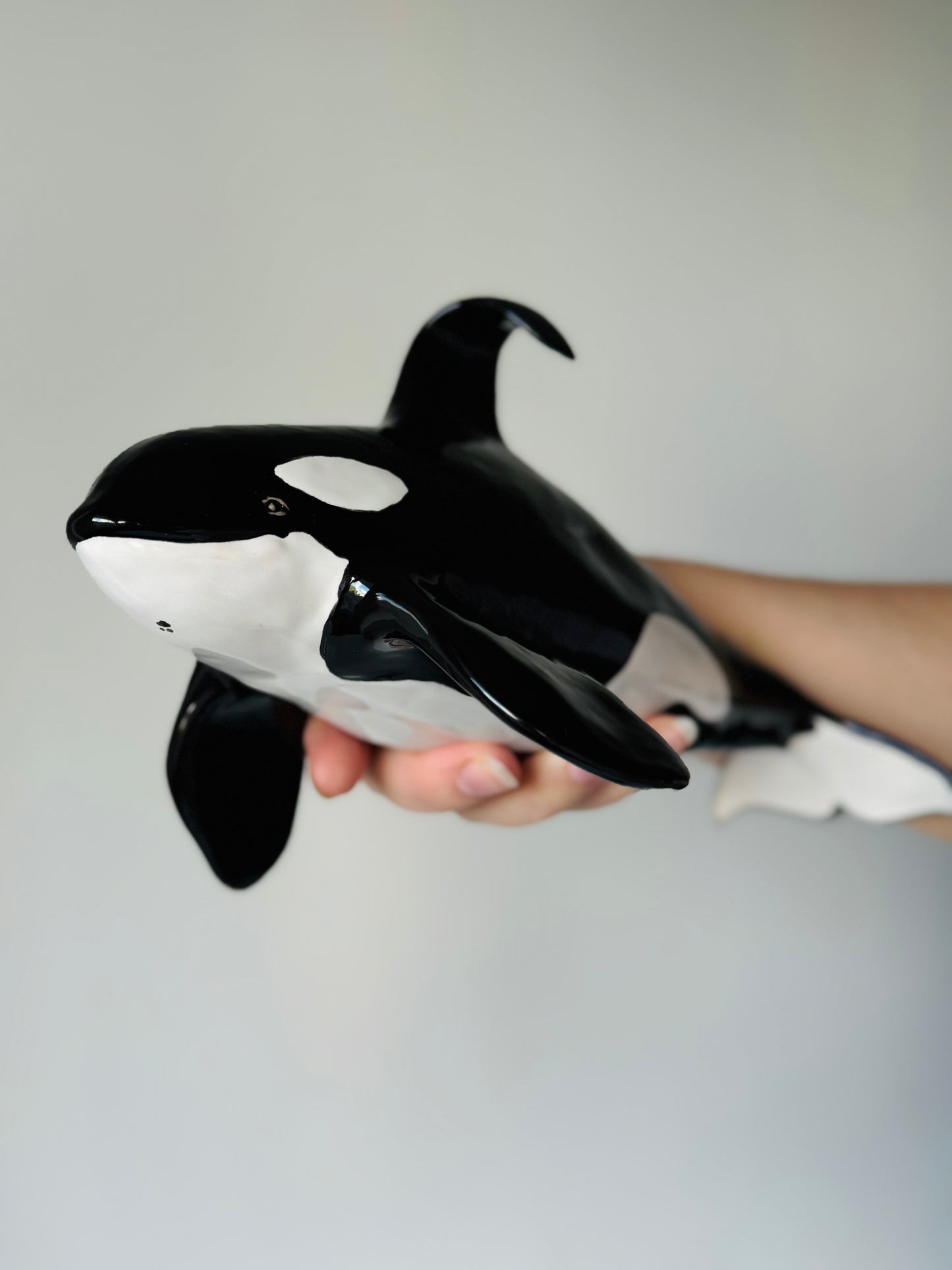 Orca Willy on a Stand