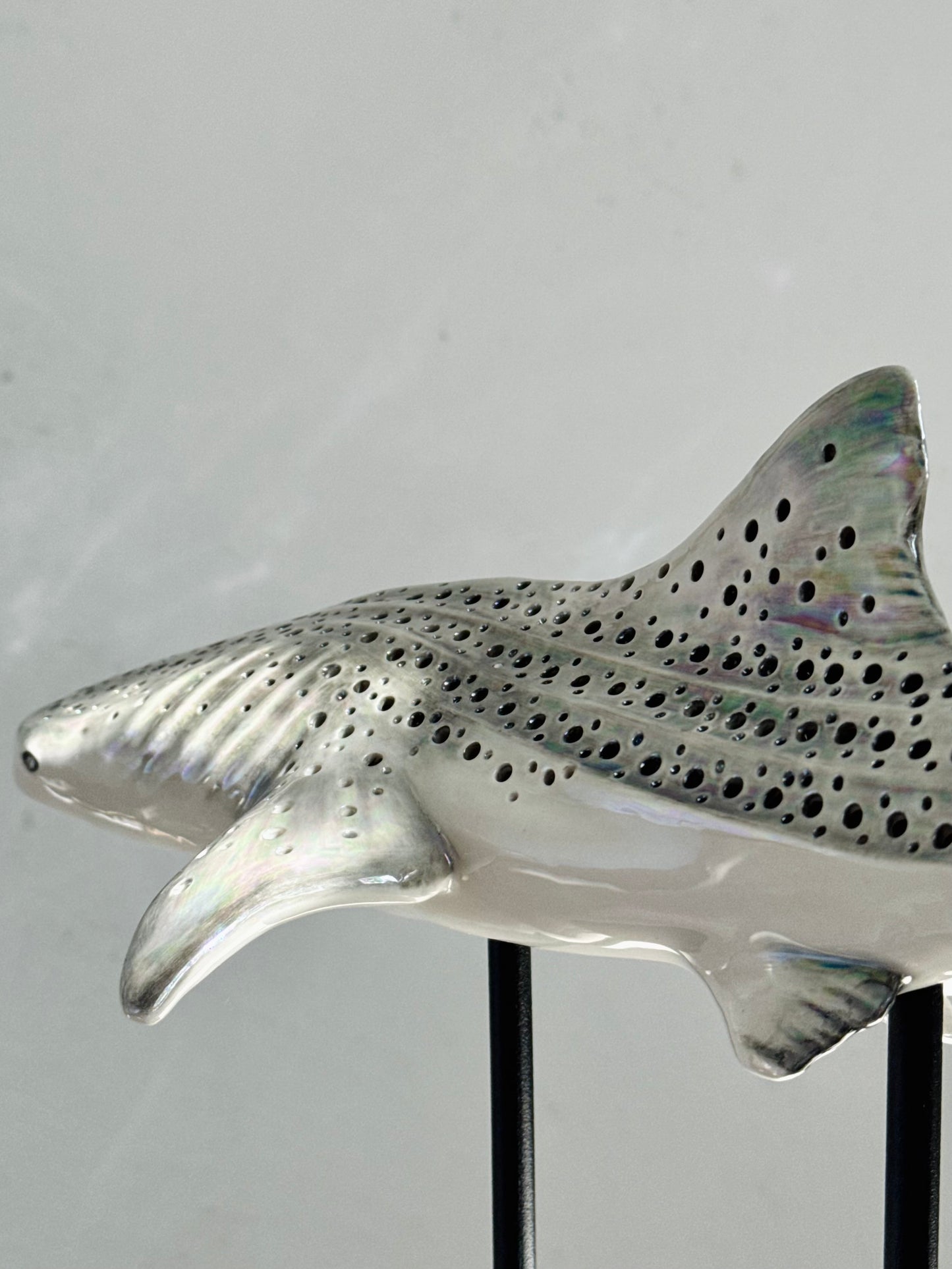 Whale Shark Lamp
