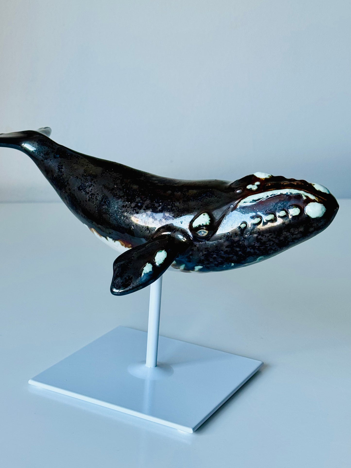 Right Whale
