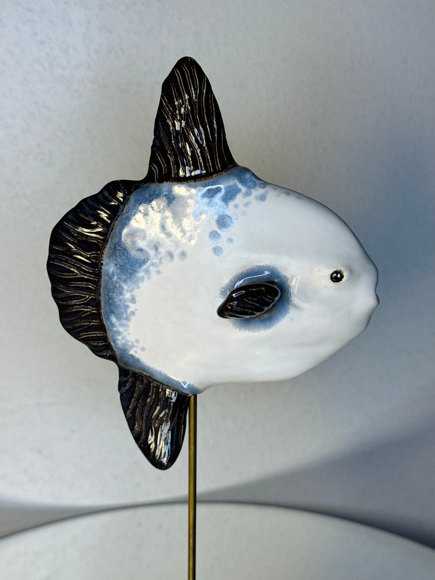 Mola Mola