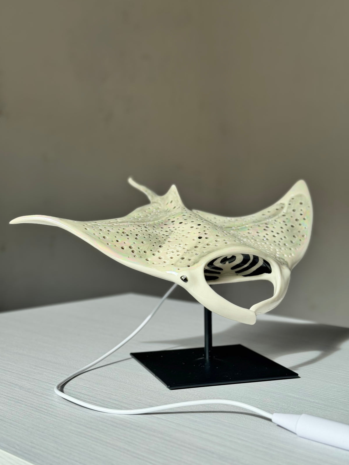 Big Manta Ray