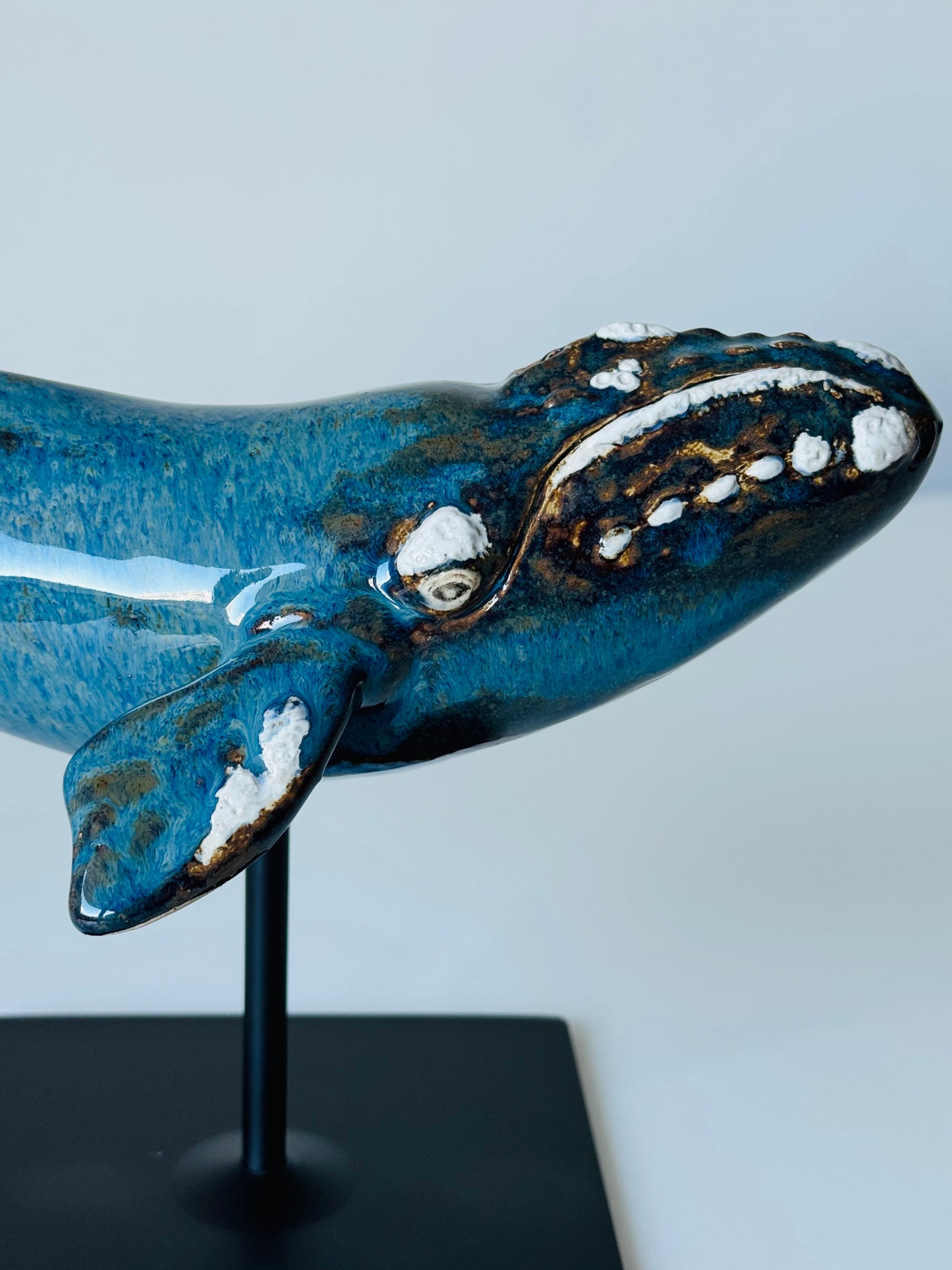 Right Whale (Kintsugi)