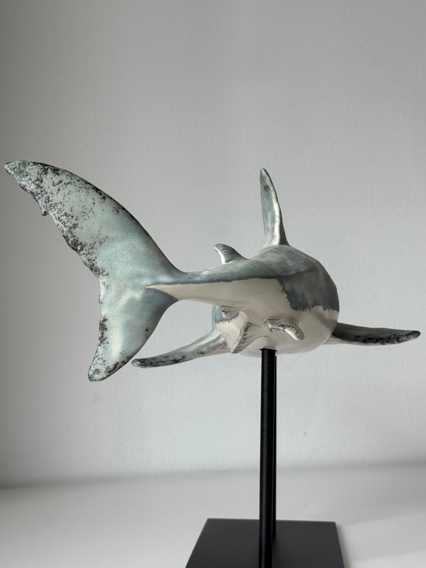 Great White Shark