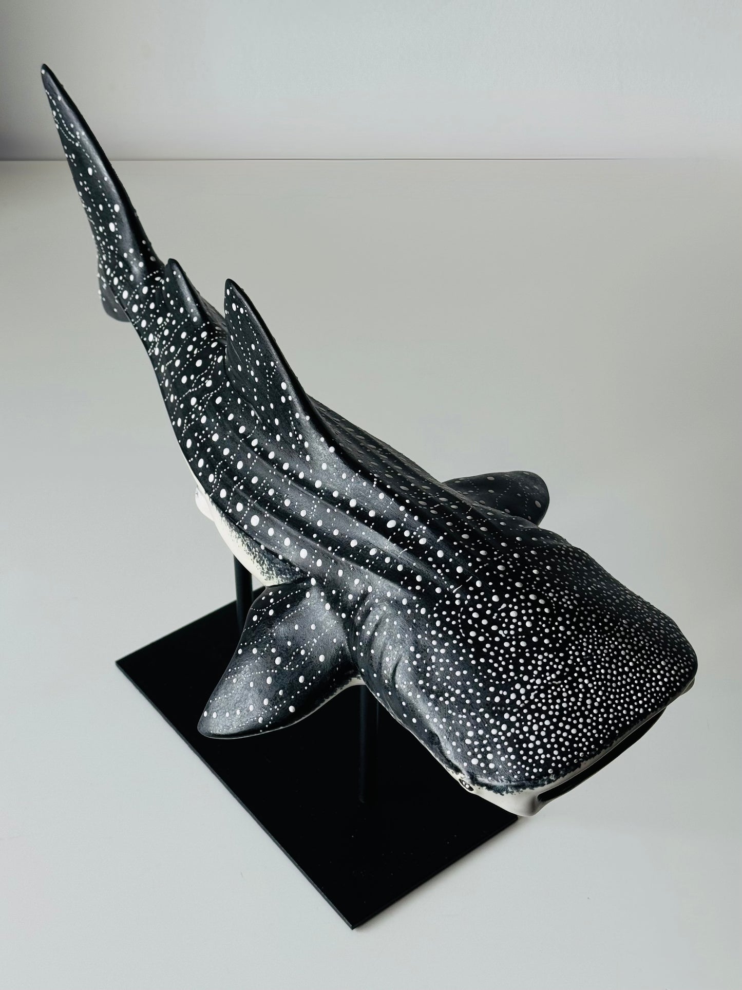 Whale Shark