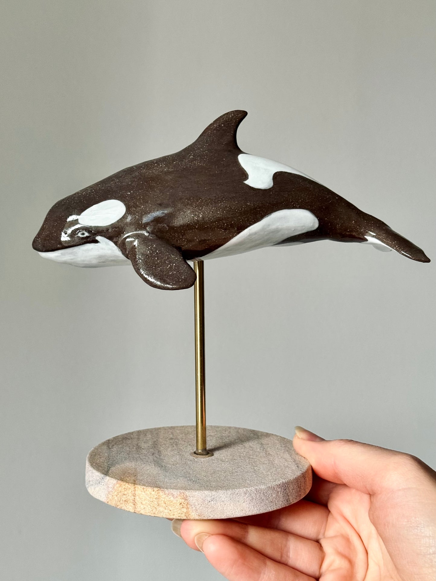Baby Orca