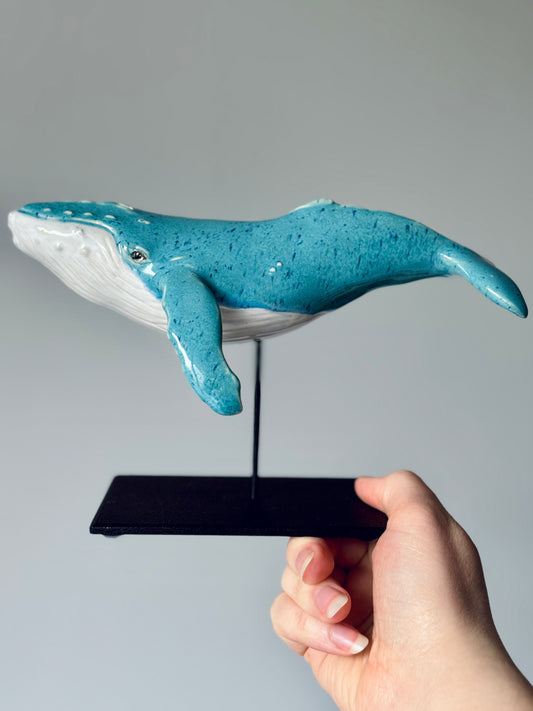 Baby Humpback Whale