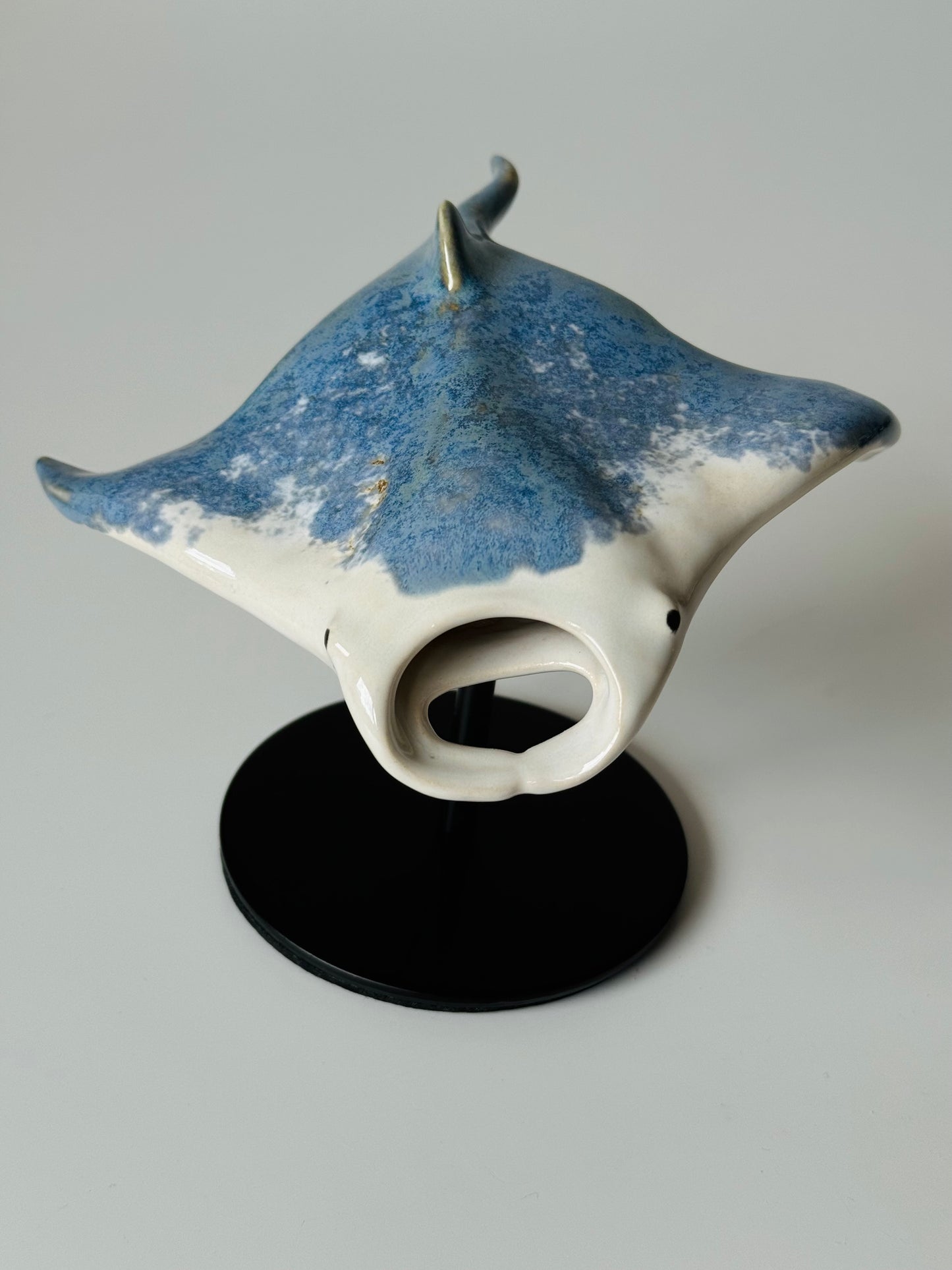 Manta Ray on a stand