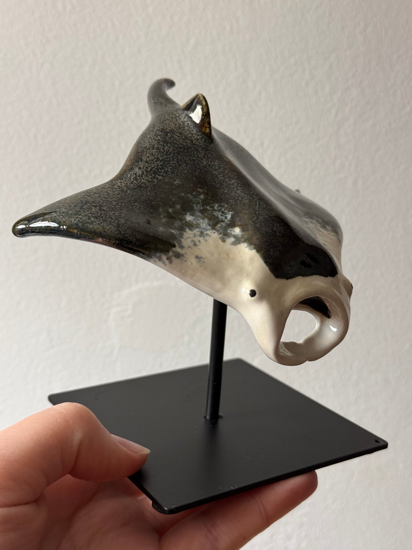 Manta Ray on a stand