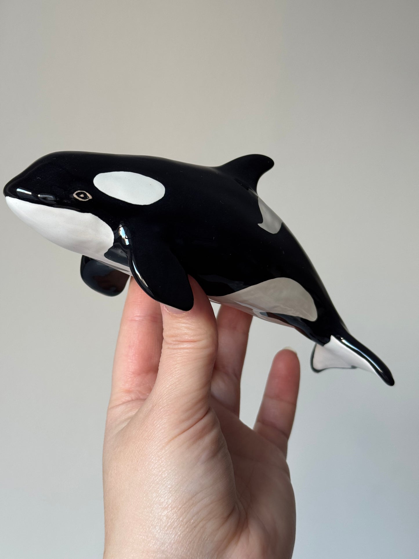 Baby Orca