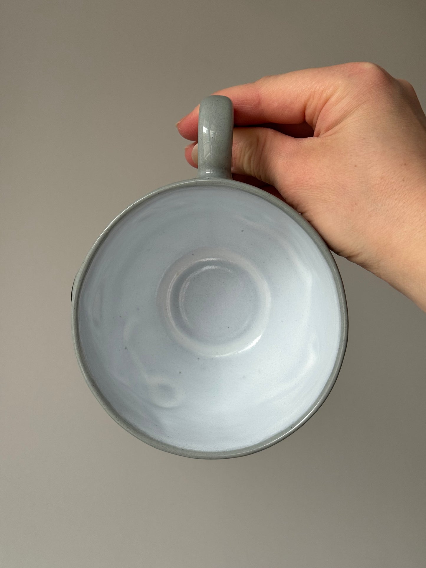 Flying Mantas Mug