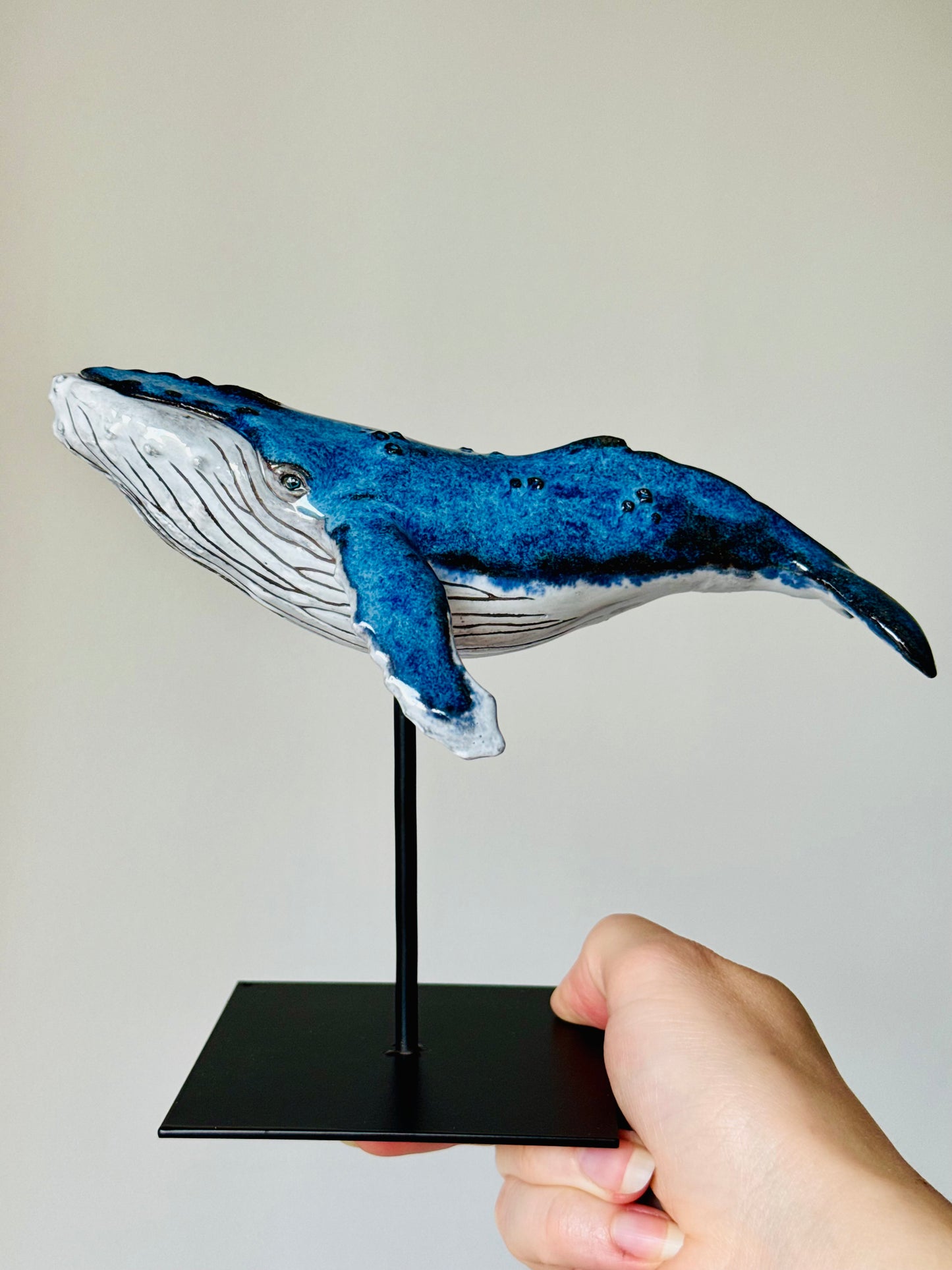 Baby Humpback Whale