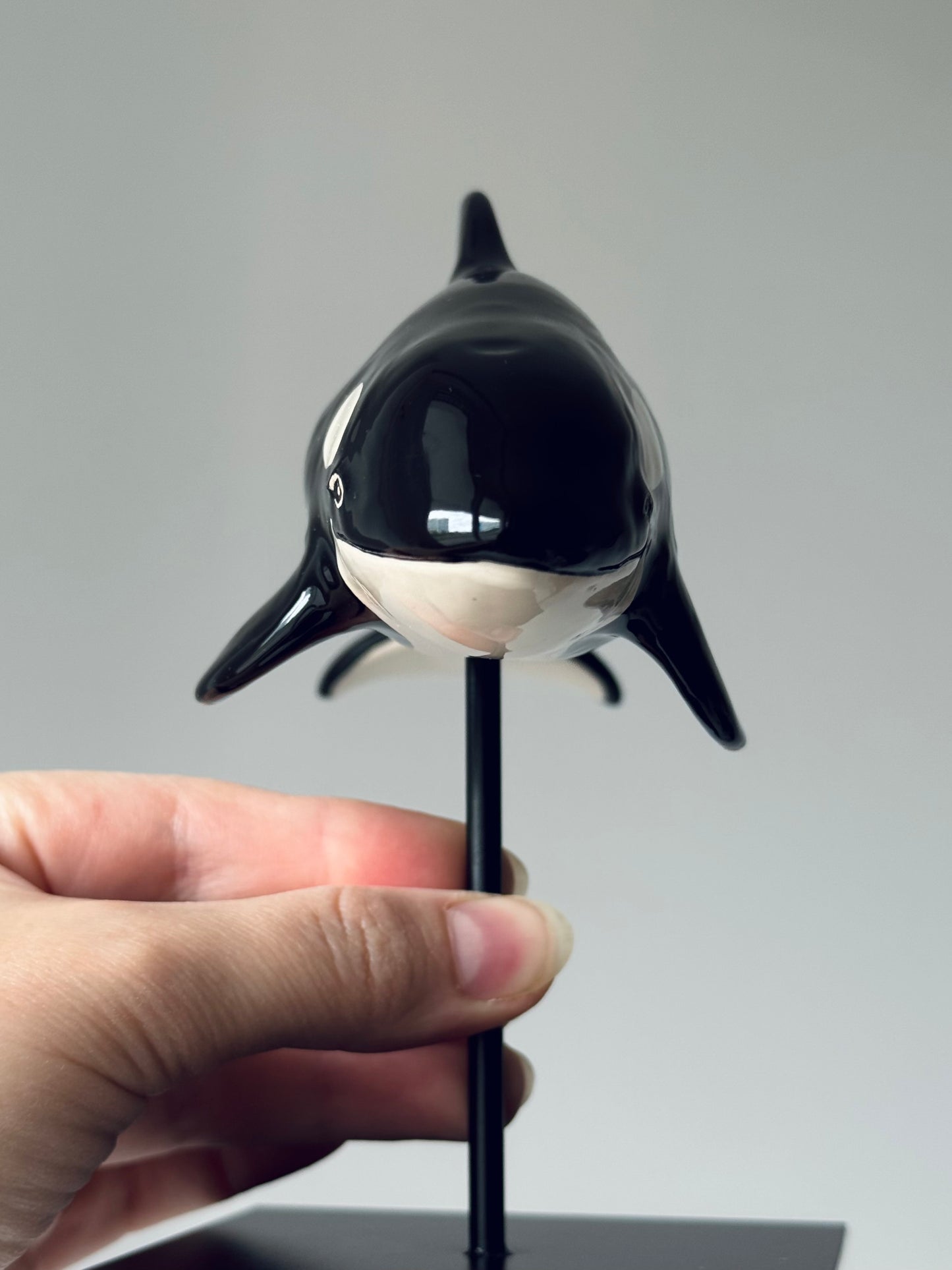 Baby Orca