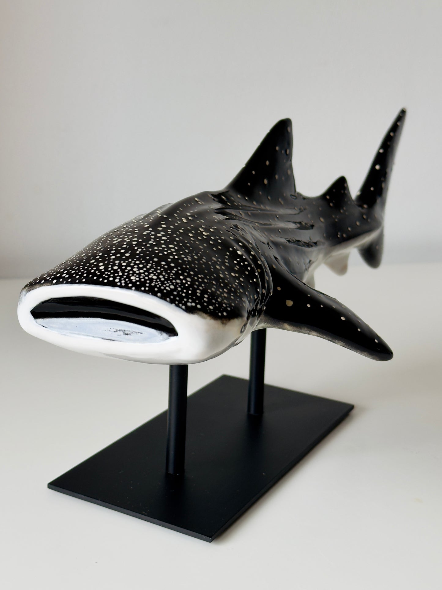 Whale Shark on a metal stand