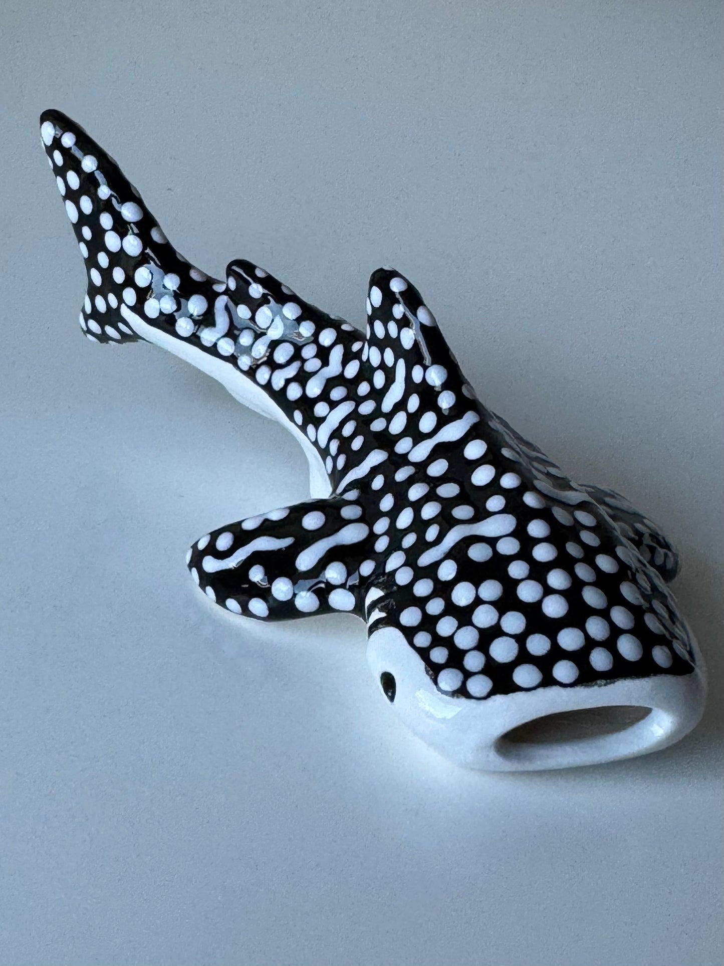 Baby Whale Shark