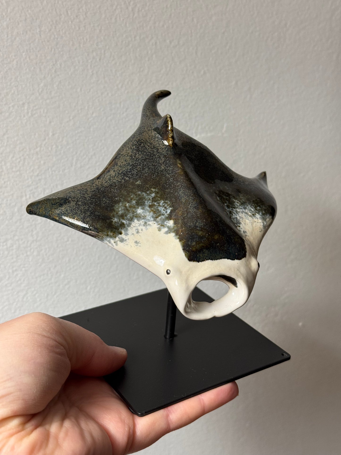 Manta Ray on a stand