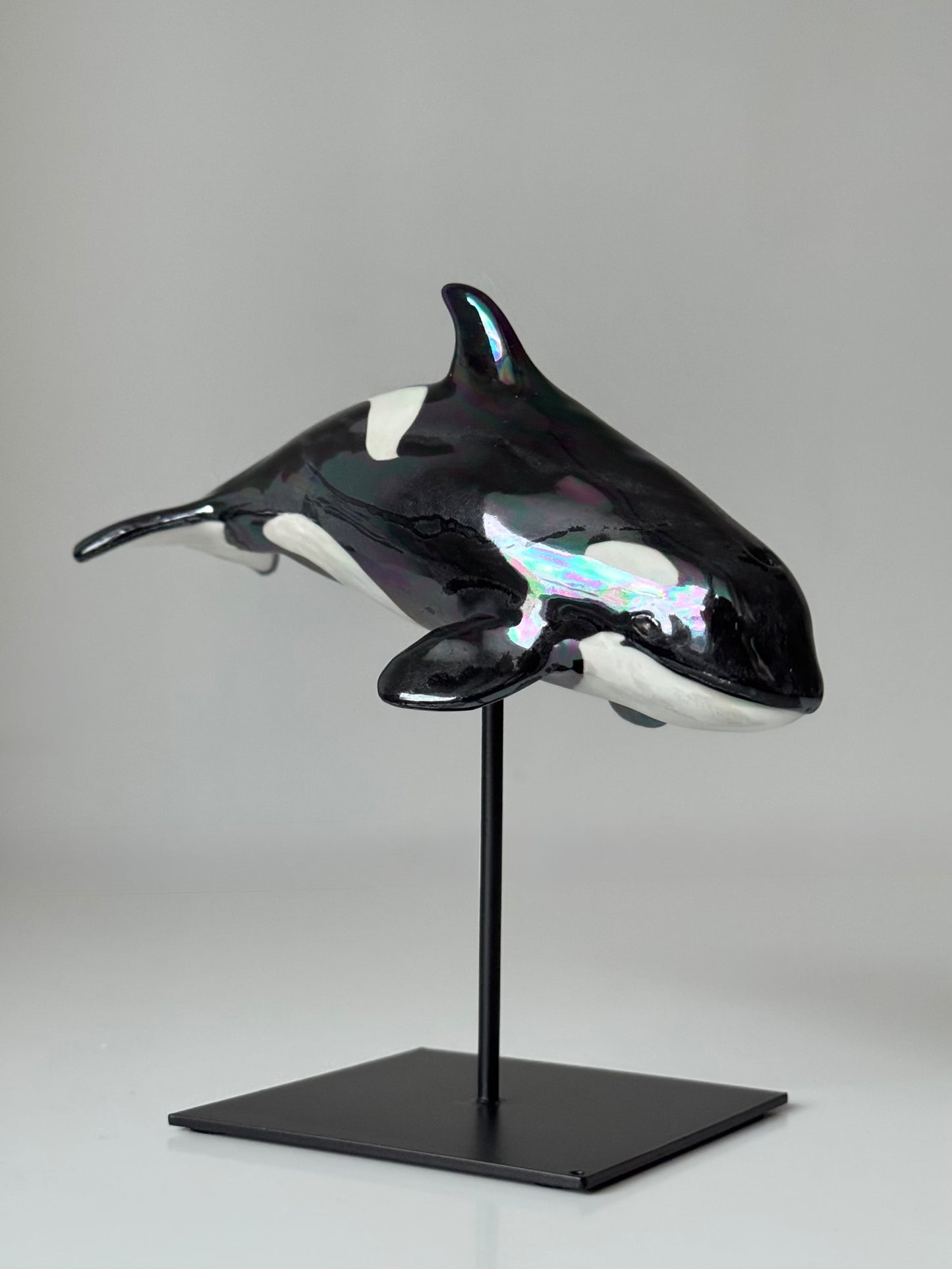 Baby Orca