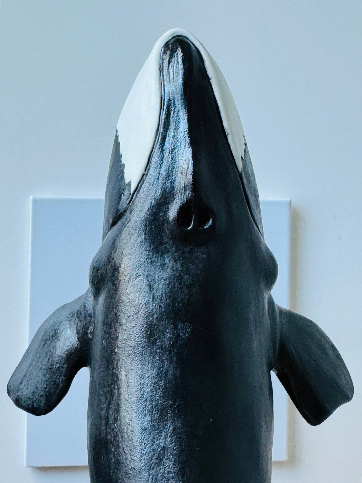 Bowhead Whale