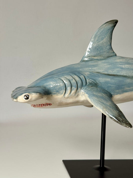 Hammerhead Shark