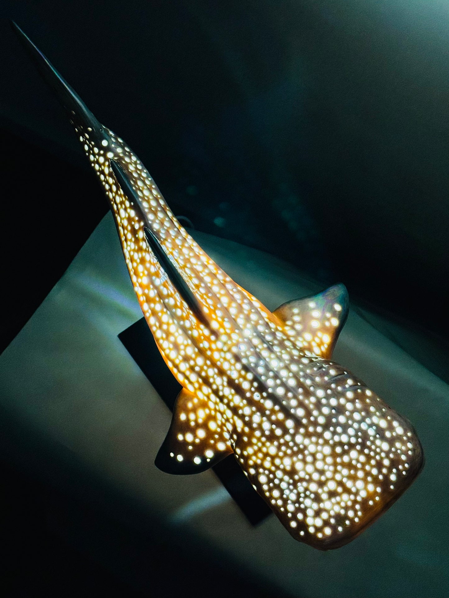 Whale Shark Lamp