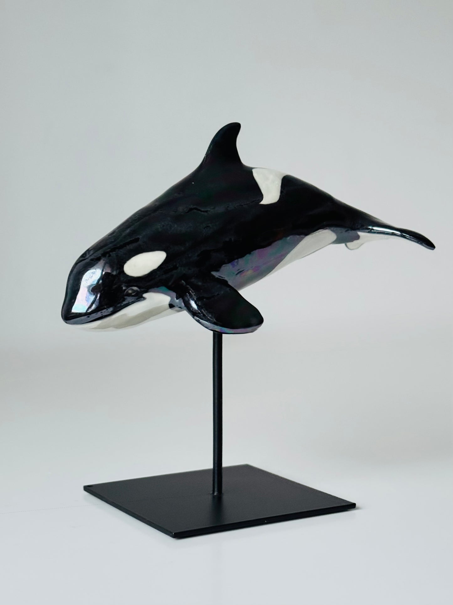 Baby Orca