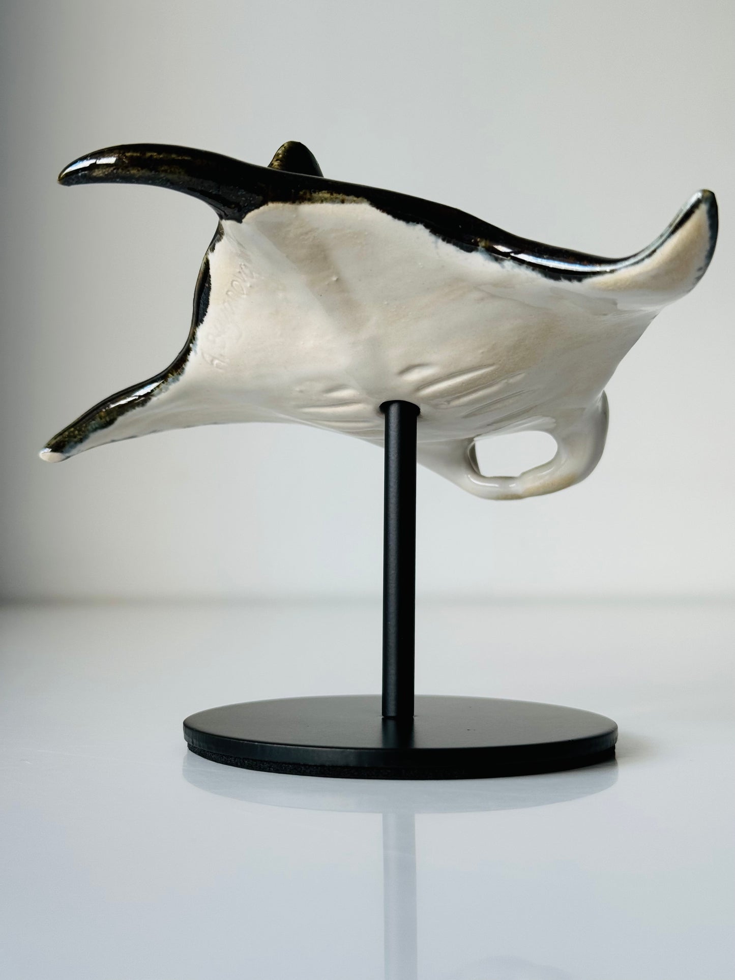 Manta Ray on a stand