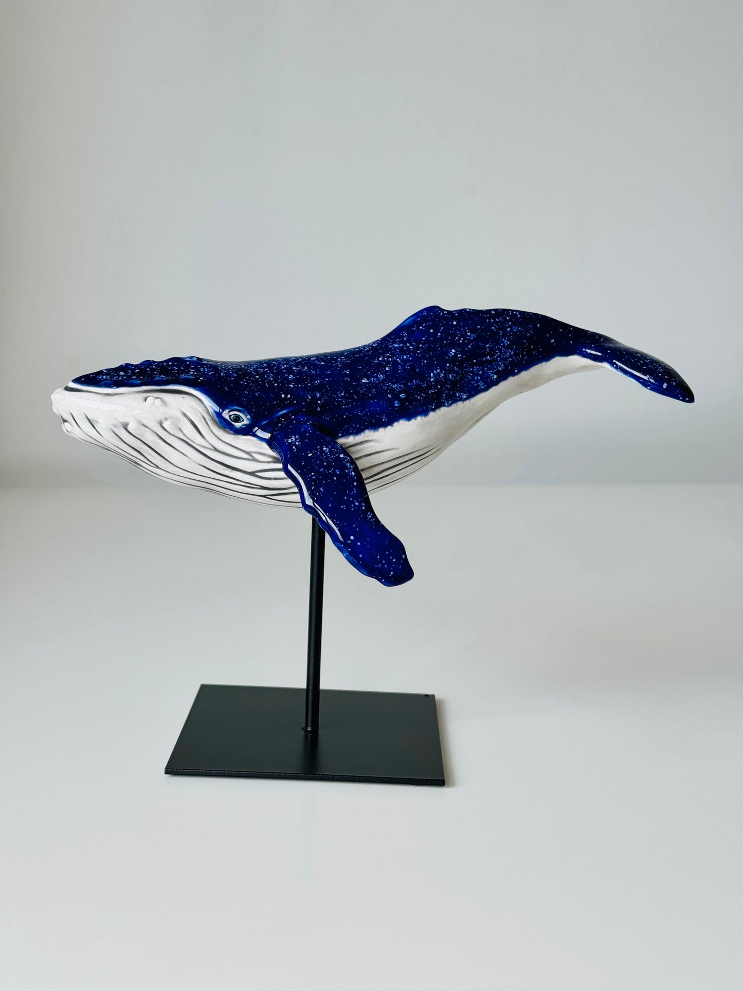 Baby Humpback Whale