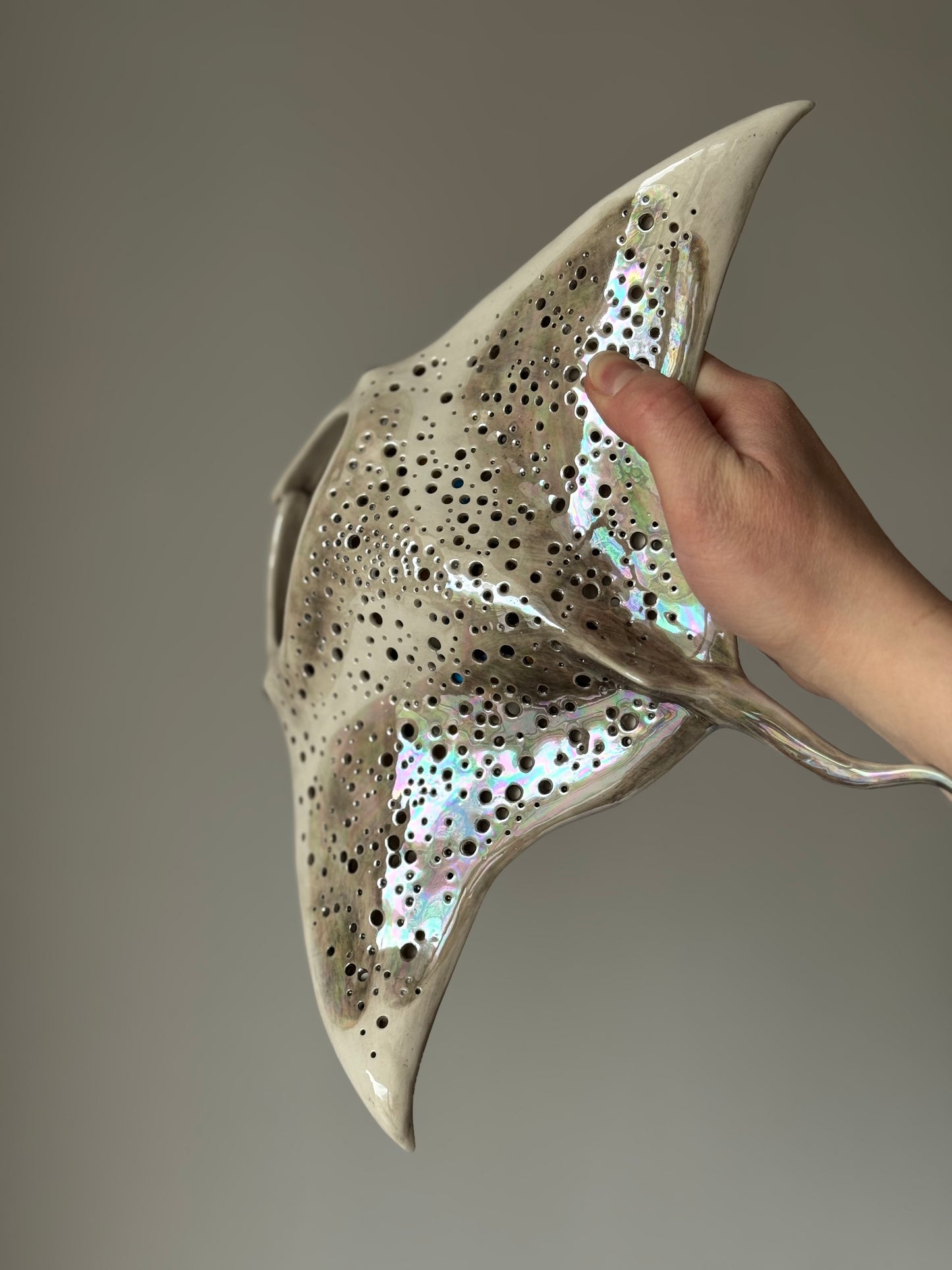 Big Manta Ray