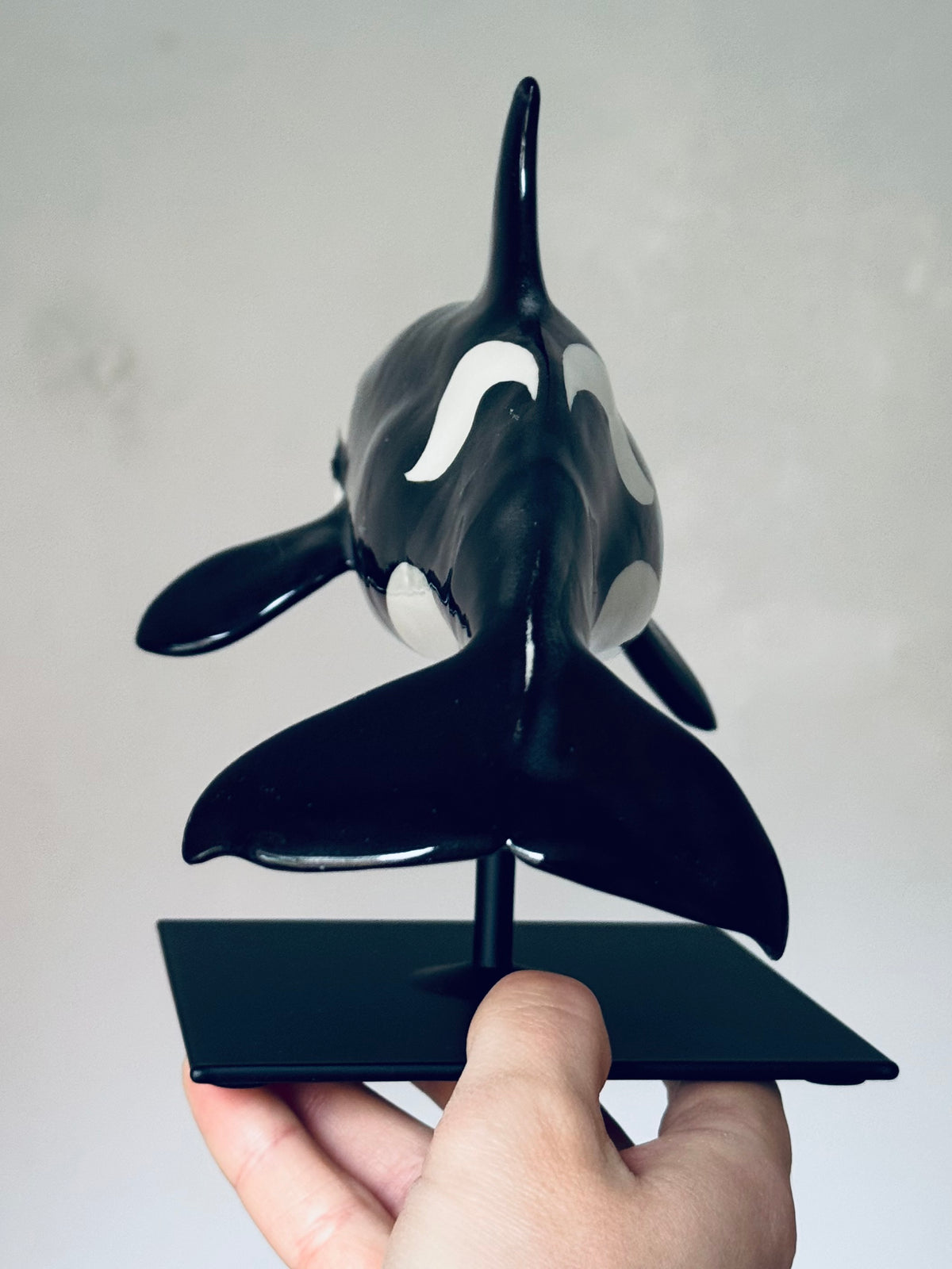 Orca on a stand