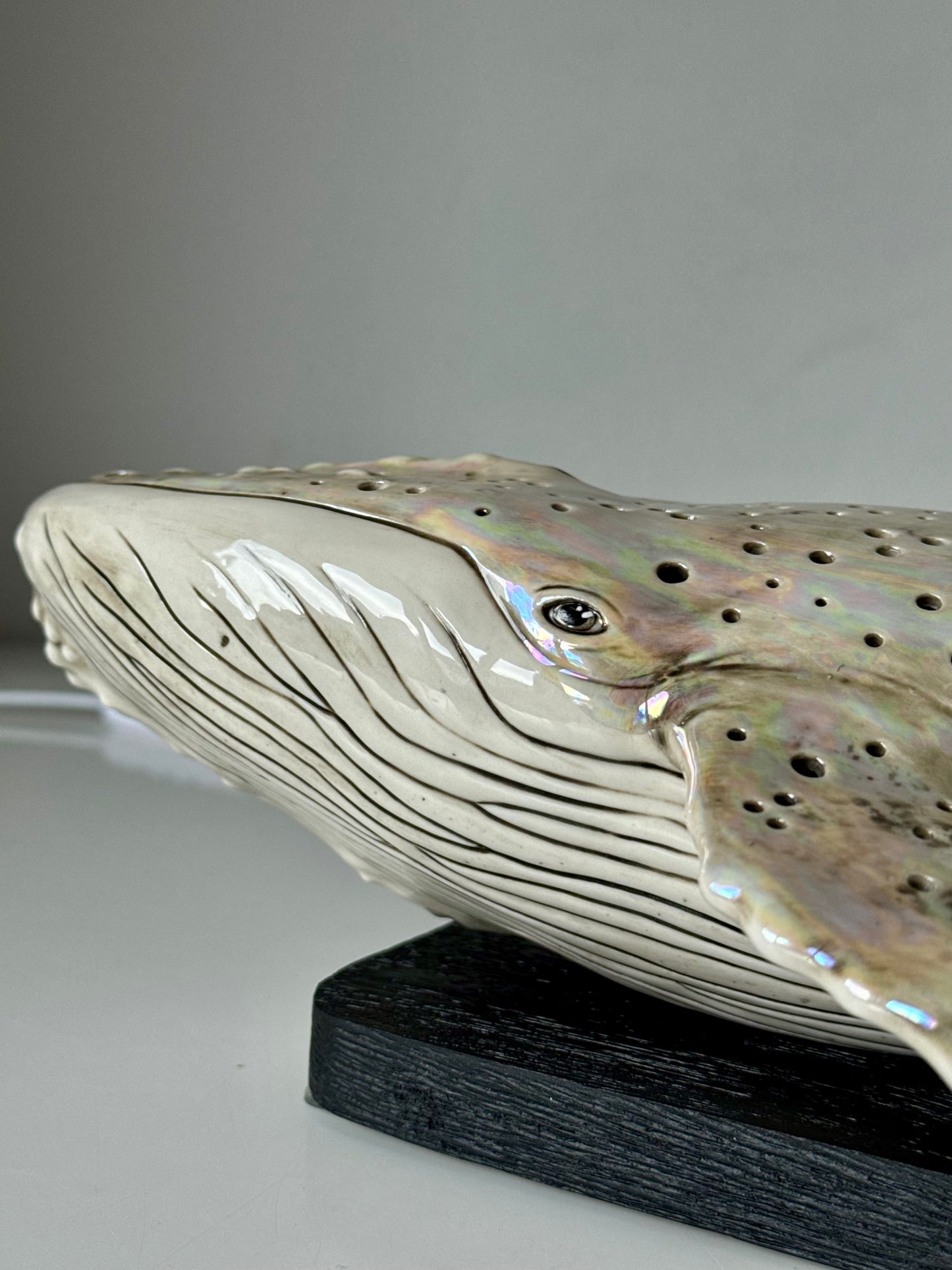 Whale Lamp