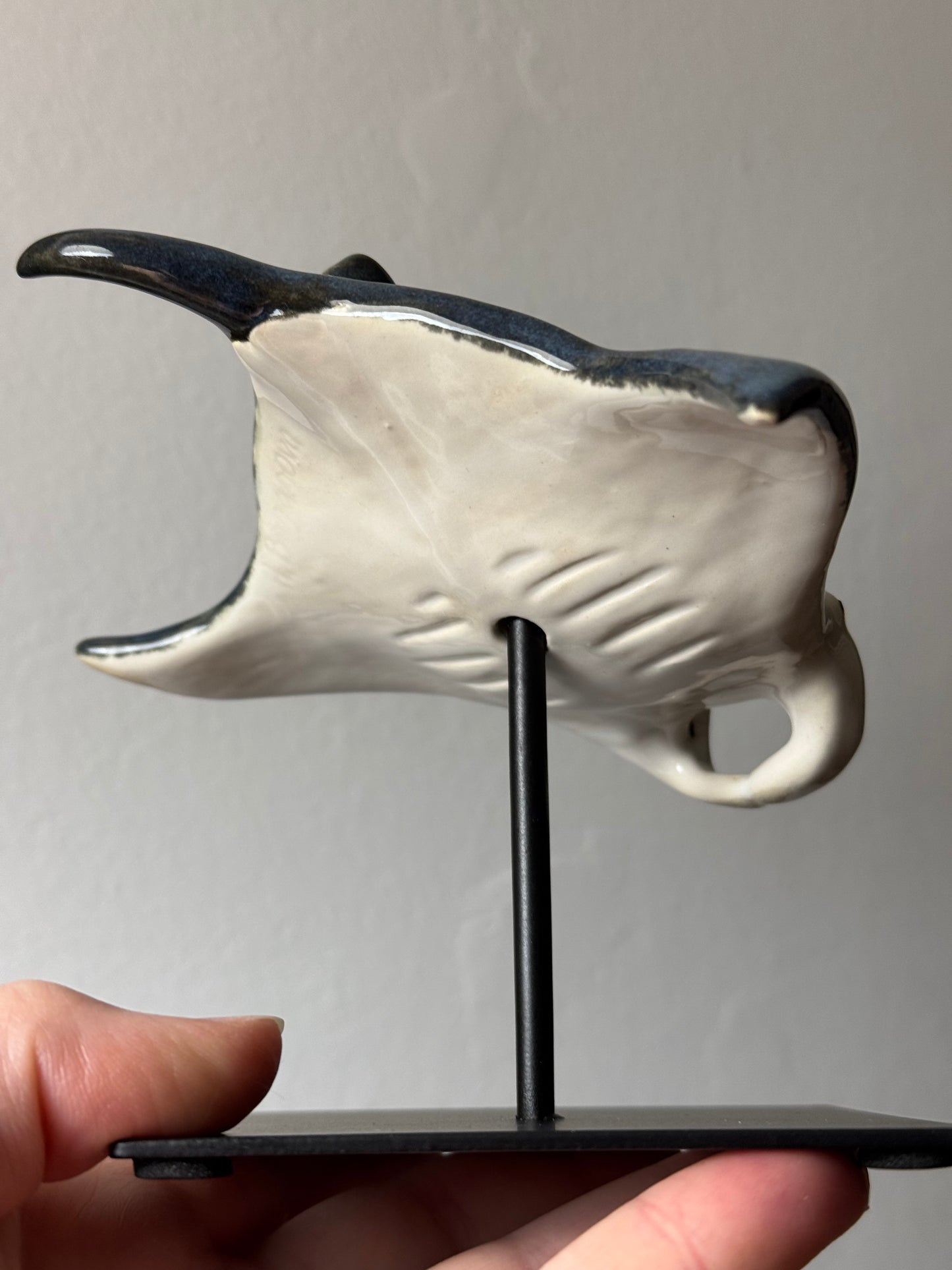 Manta Ray on a stand