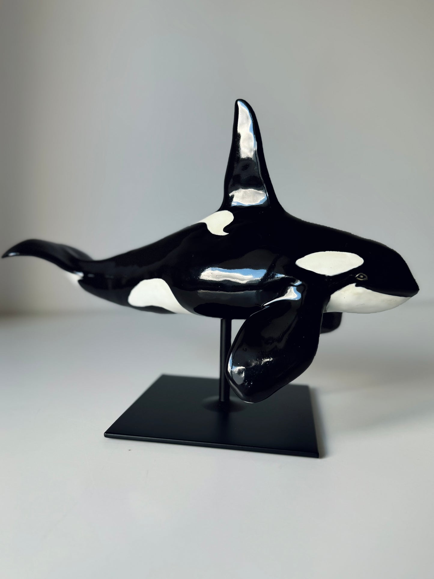 Male Orca on a stand