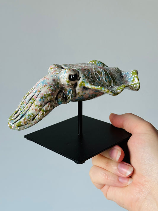 Cuttlefish