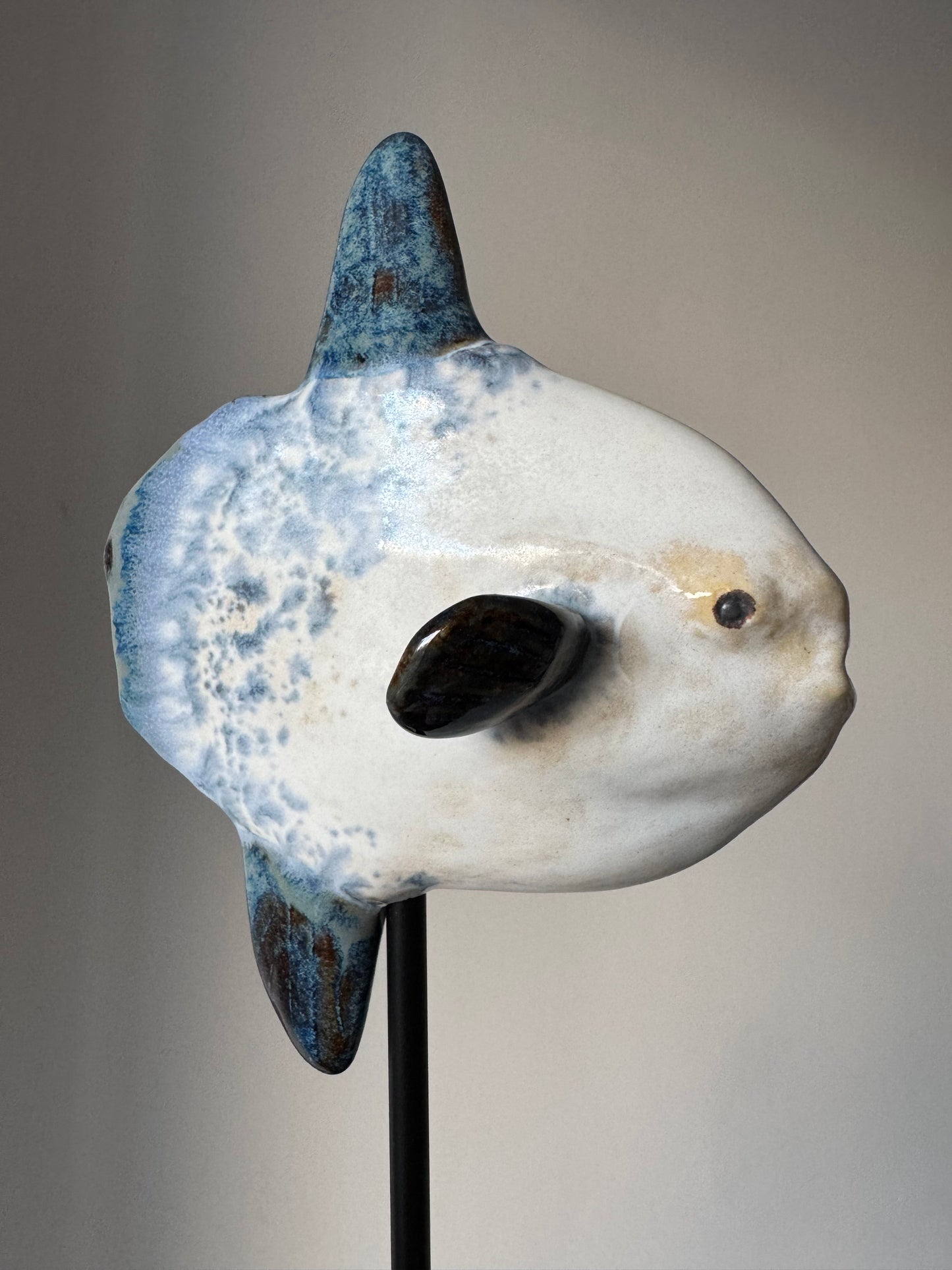 Mola Mola on a metal stand