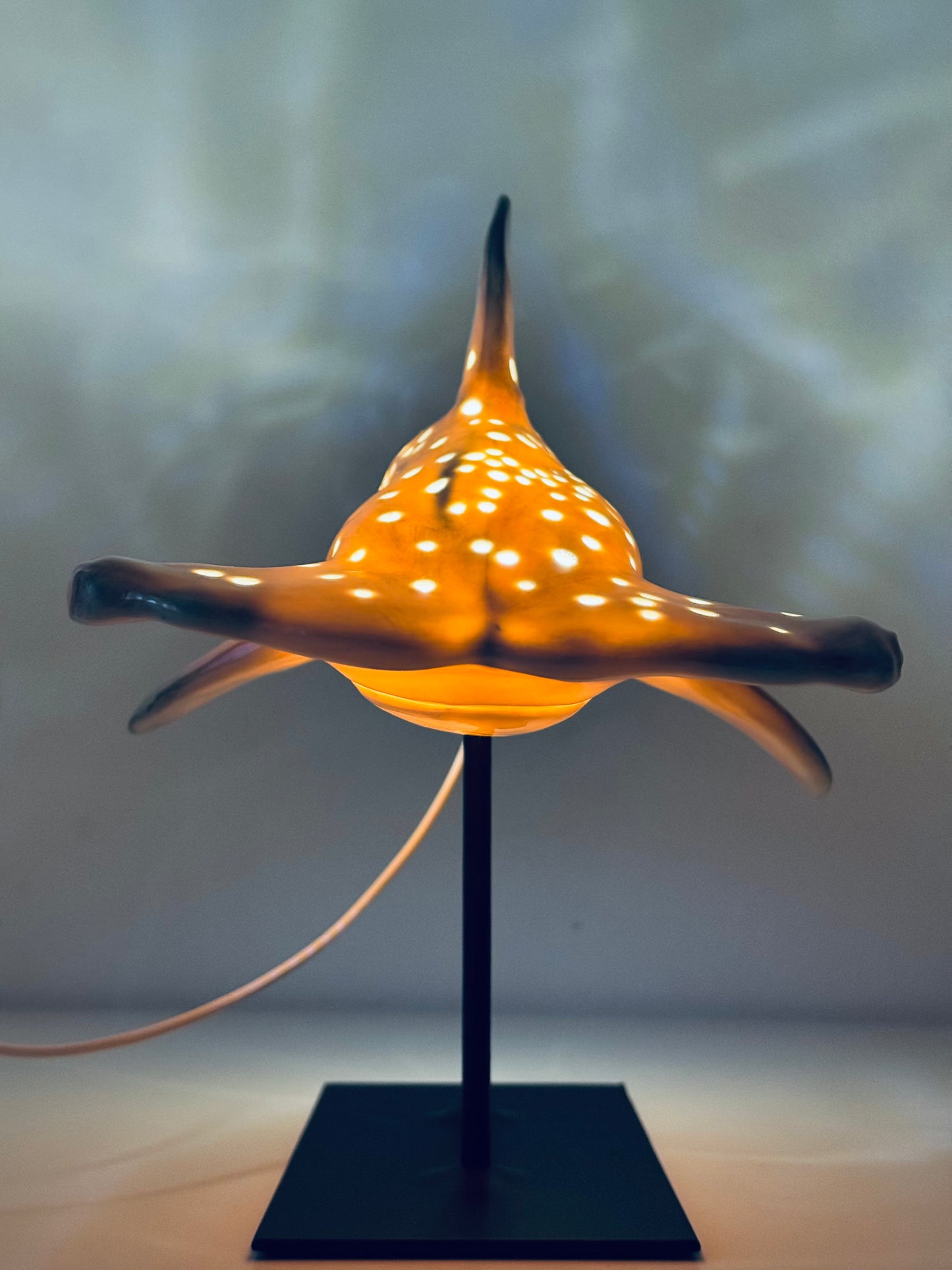 Hammerhead Shark Lamp
