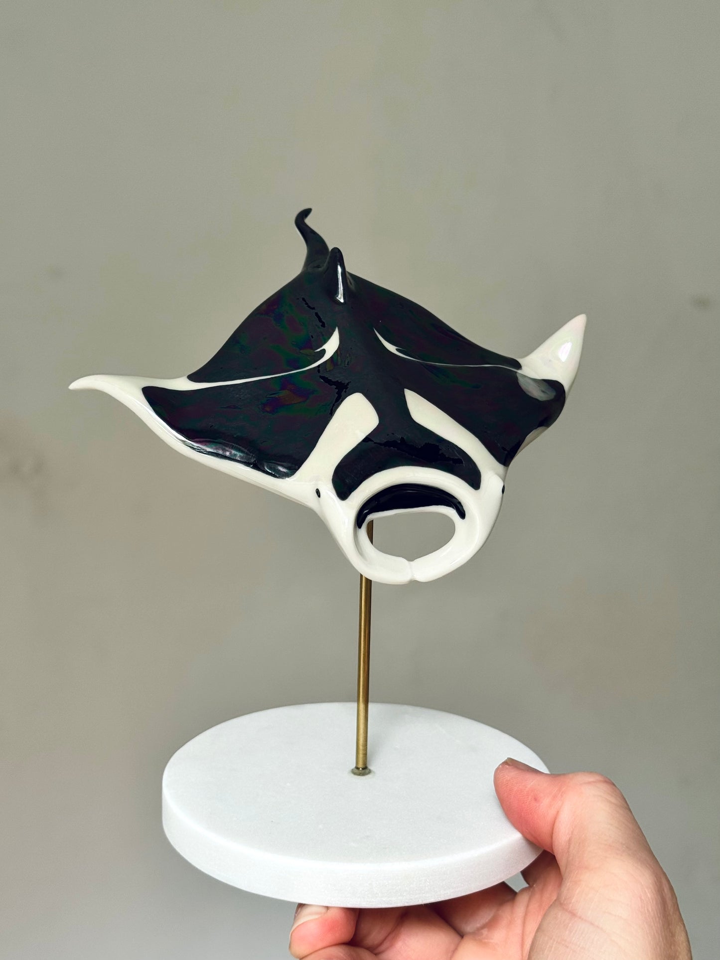 Manta Ray